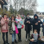 vergrößerte Bildansicht wird geöffnet