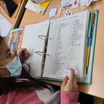 vergrößerte Bildansicht wird geöffnet