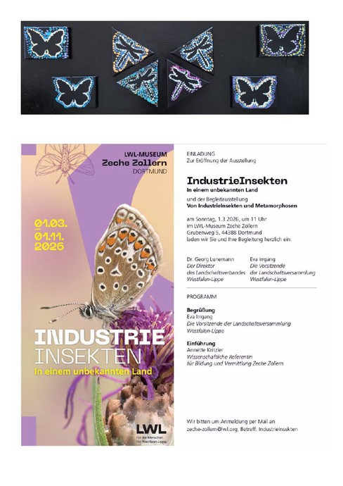 Text Insekten (vergrößerte Bildansicht wird geöffnet)