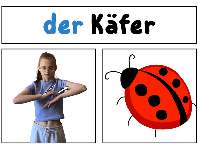 None (vergrößerte Bildansicht wird geöffnet)