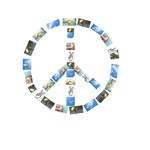 vergrößerte Bildansicht wird geöffnet