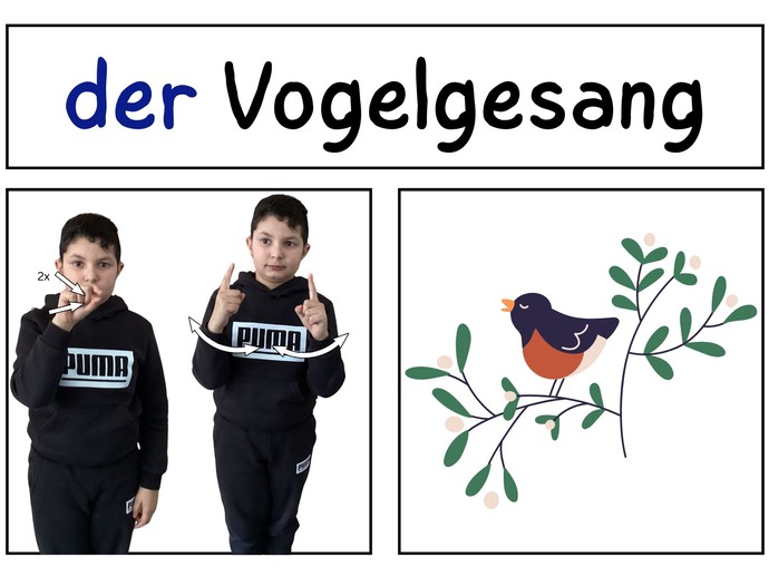 None (vergrößerte Bildansicht wird geöffnet)