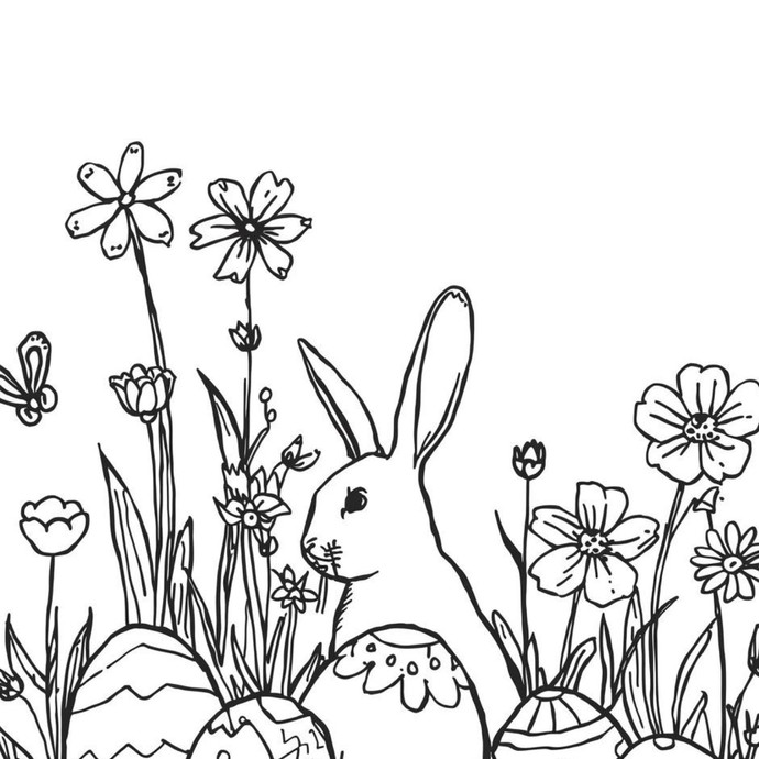 None (vergrößerte Bildansicht wird geöffnet)