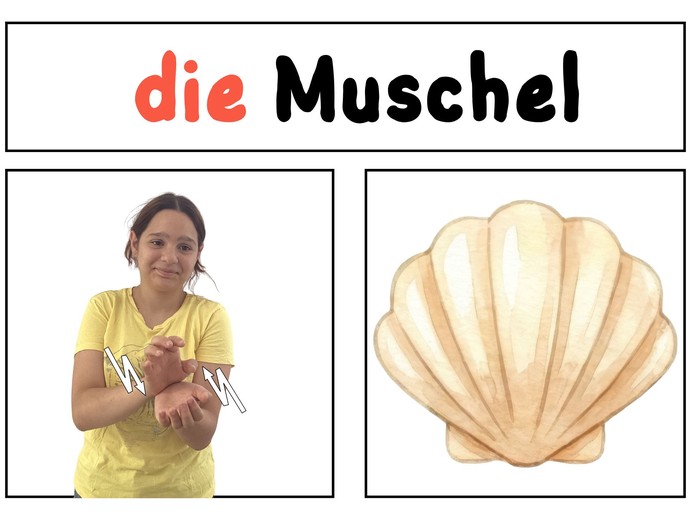 None (vergrößerte Bildansicht wird geöffnet)