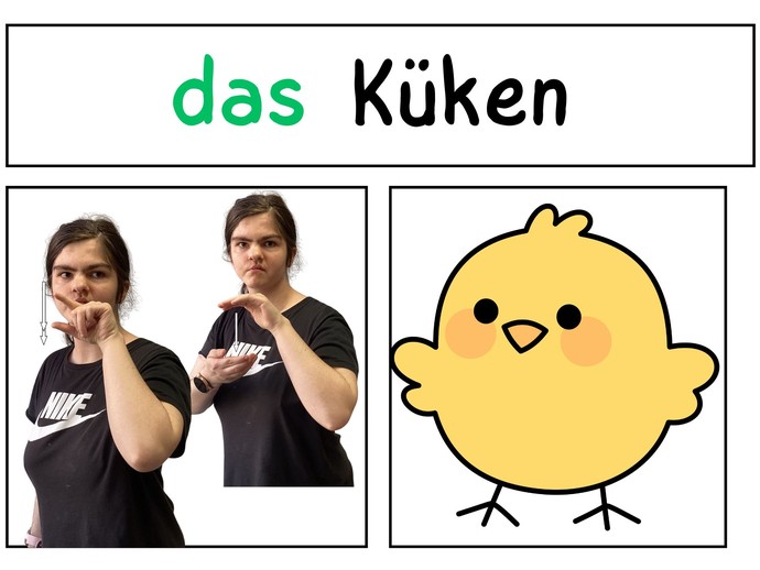 None (vergrößerte Bildansicht wird geöffnet)