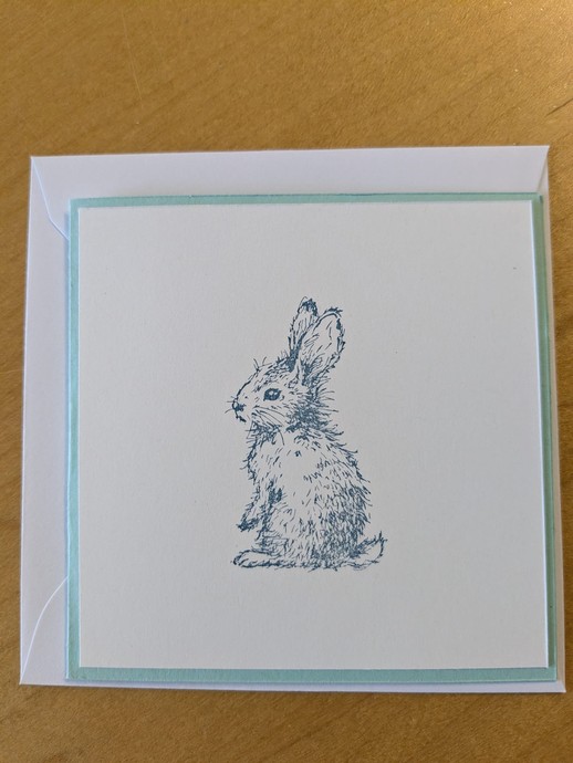 None (vergrößerte Bildansicht wird geöffnet)