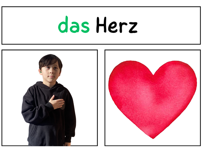 None (vergrößerte Bildansicht wird geöffnet)