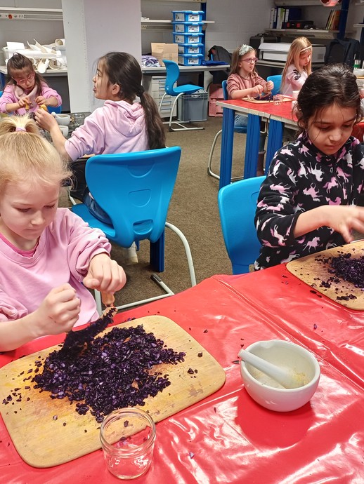 None (vergrößerte Bildansicht wird geöffnet)