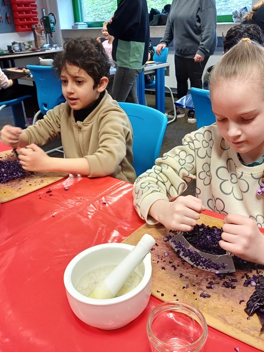 None (vergrößerte Bildansicht wird geöffnet)