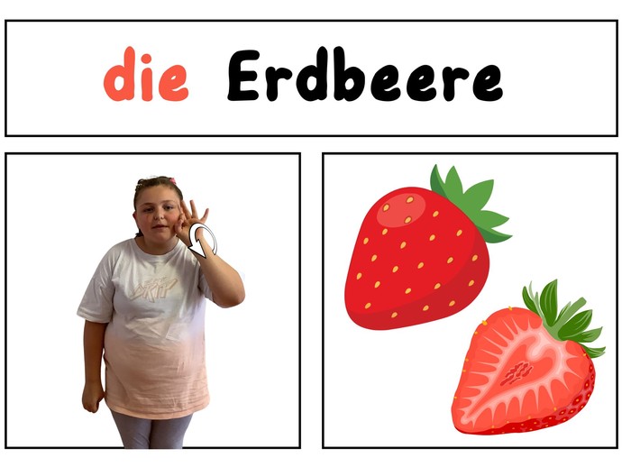 None (vergrößerte Bildansicht wird geöffnet)