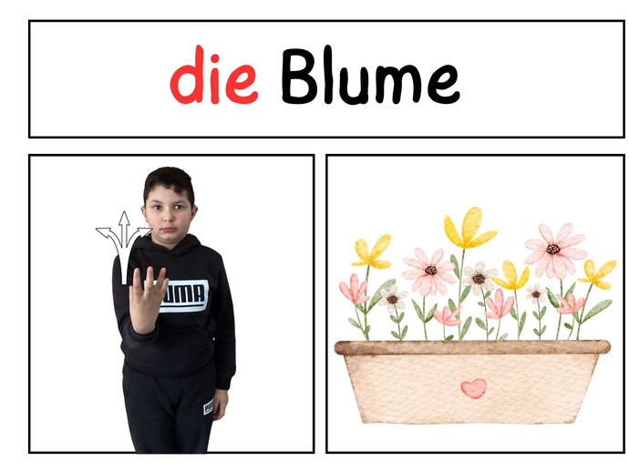 None (vergrößerte Bildansicht wird geöffnet)