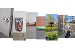 vergrößerte Bildansicht wird geöffnet