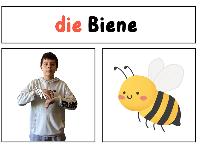 None (vergrößerte Bildansicht wird geöffnet)